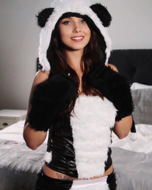 Bailey Knox Cute Panda Premium Wins 1