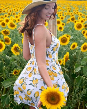 Red Fox Sunflower Fields The Emily Bloom 1