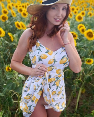 Red Fox Sunflower Fields The Emily Bloom 8